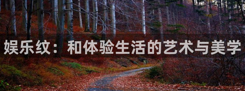 蓝狮在线游戏怎么注册：娱乐纹：和体验生活的艺术与美学