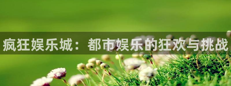 蓝狮在线平台：疯狂娱乐城：都市娱乐的狂欢与挑战