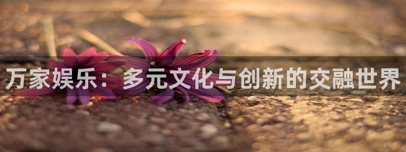 蓝狮在线登录：万家娱乐：多元文化与创新的交融世界