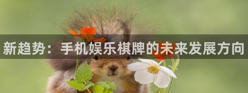 蓝狮在线：新趋势：手机娱乐棋牌的未来发展方向