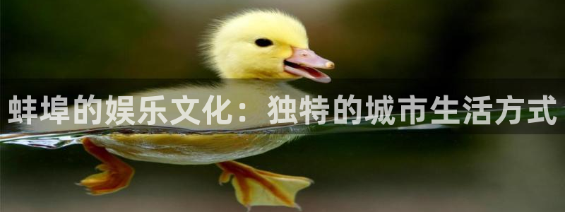 蓝狮在线的钱能提出来吗：蚌埠的娱乐文化：独特的城市生活方式