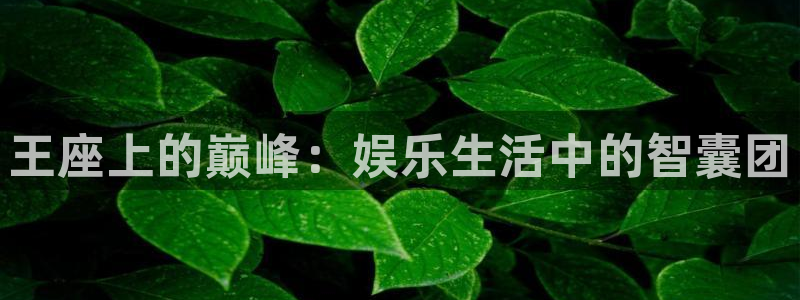 蓝狮在线注册地址：王座上的巅峰：娱乐生活中的智囊团