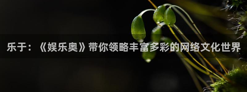 蓝狮在线邀请码怎么获得：乐于：《娱乐奥》带你领略丰富多彩的网络文化世界