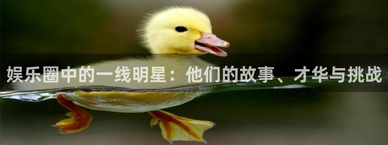 蓝狮在线注册地址：娱乐圈中的一线明星：他们的故事、才华与挑战