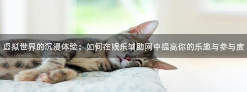 蓝狮在线登录：虚拟世界的沉浸体验：如何在娱乐辅助网中提高你的乐趣与参与度