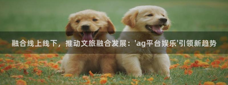 蓝狮在线注册地址